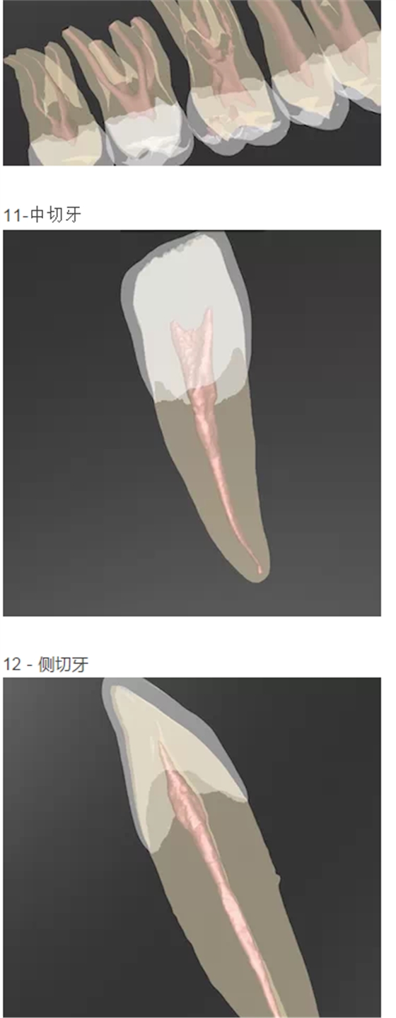 210.png 210.png