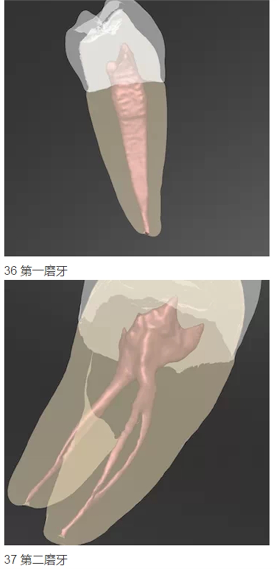 216.png 216.png