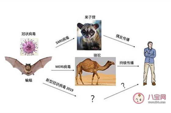 新型冠狀病毒感染了一定會發(fā)熱嗎？新型冠狀病毒前期的癥狀有哪些？