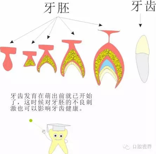 【口腔科普】愛(ài)牙從這里開(kāi)始——愛(ài)牙科普知識(shí)300問(wèn)（連載五）