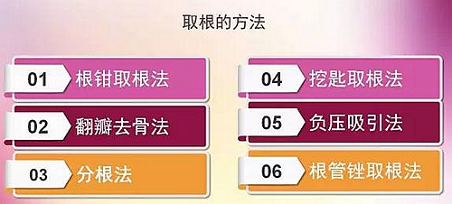 拔牙斷根的去與留？