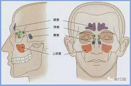 疫情期間，種植科突發(fā)狀況居家處理建議